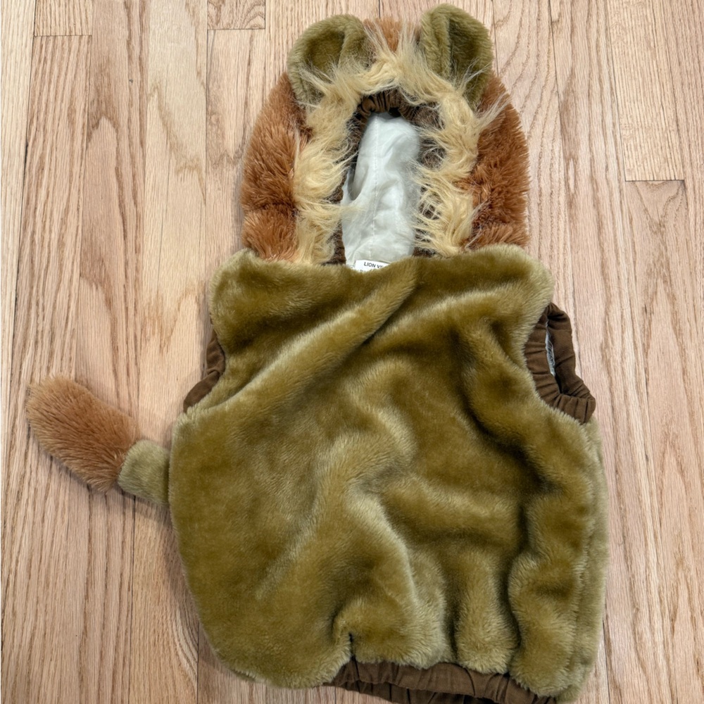 Kids Lion Costume with Hood - Brown and Tan